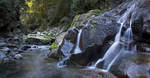 Williams River Waterfall by robertvine