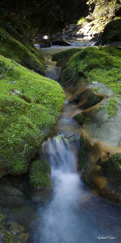 Flowing - Williams River 6