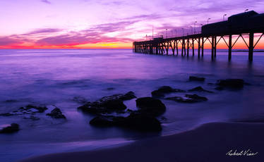 Purple Pier