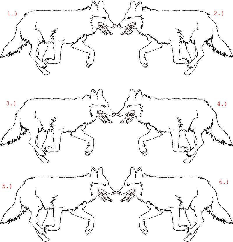 Wolf Base 01. by Kyoushi on DeviantArt