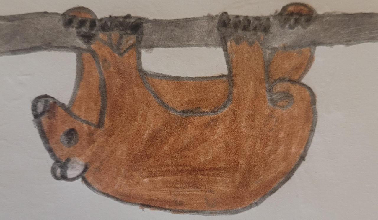 Colugo by adamnofal on DeviantArt