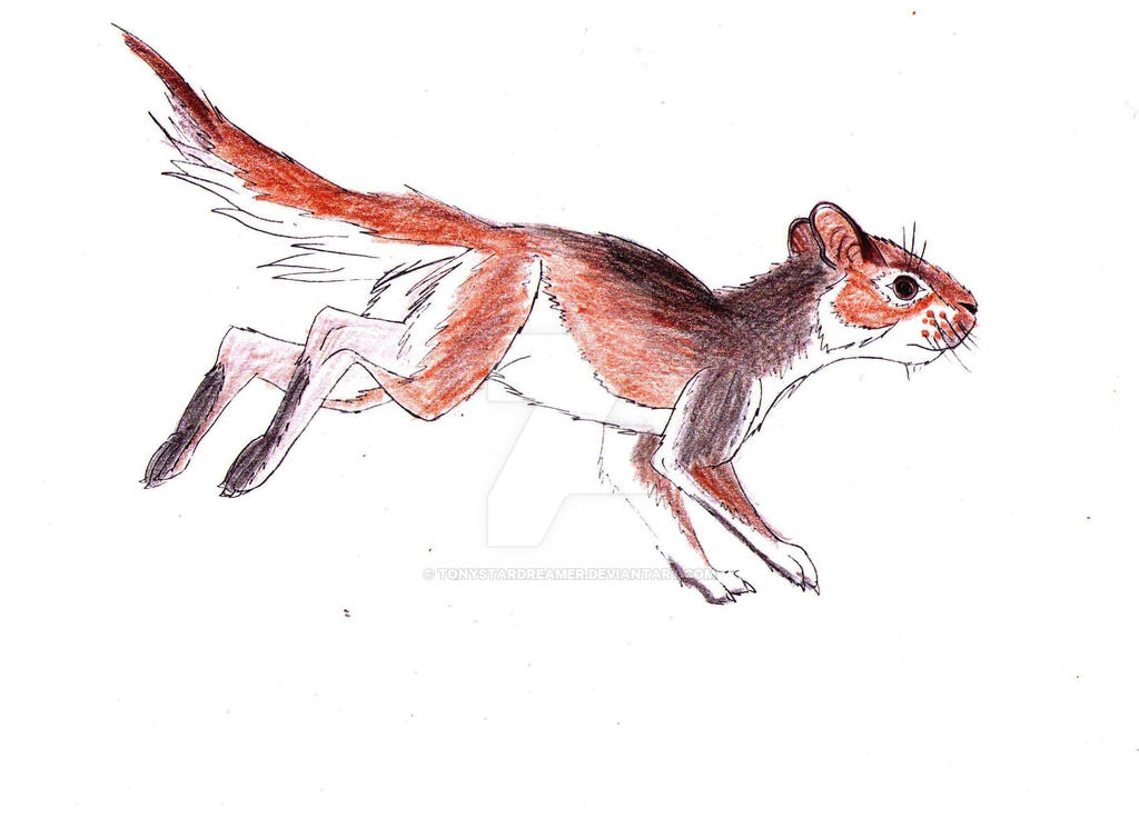 Prehistoric Rabbit by tonystardreamer on DeviantArt