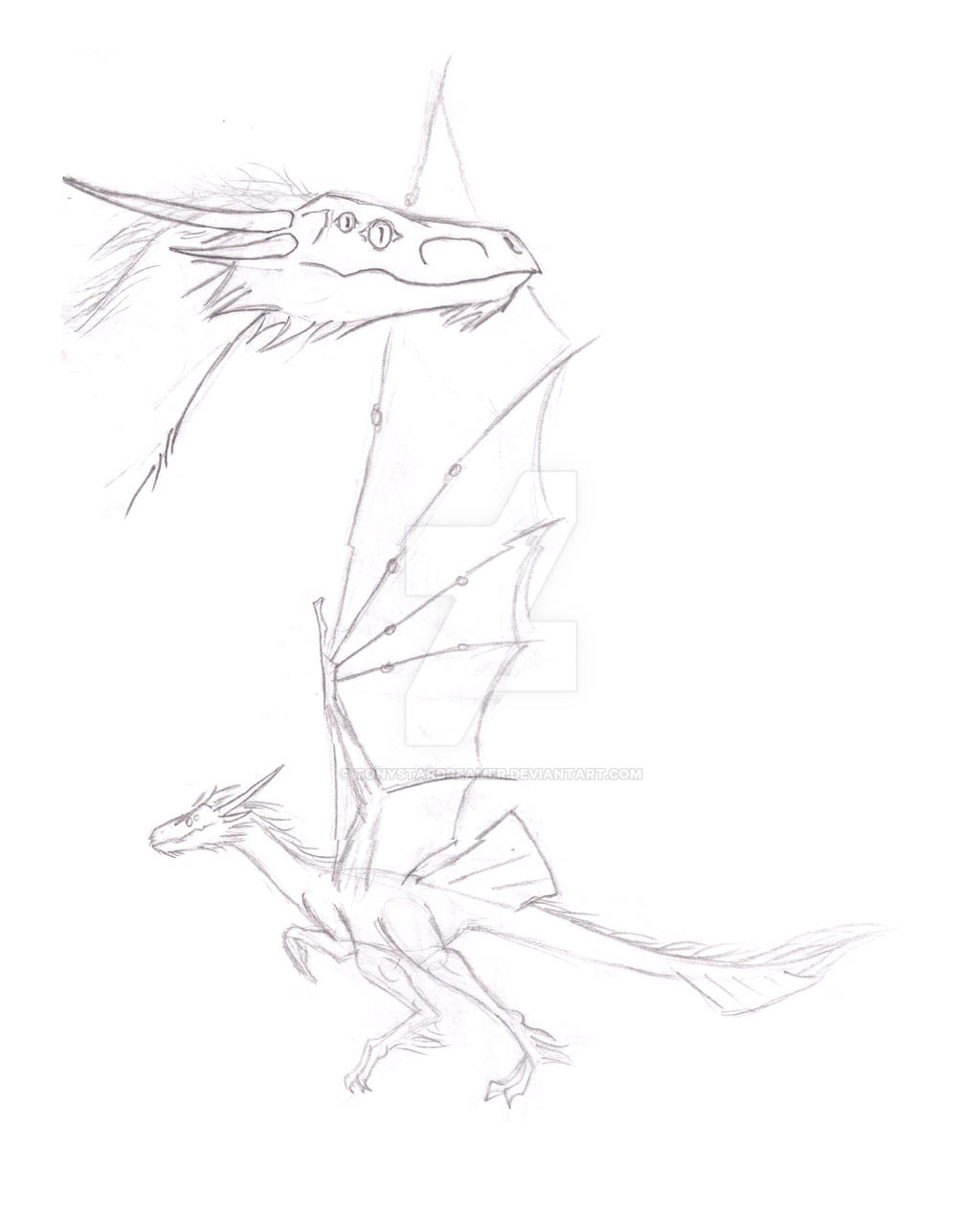 Furred Dragon by tonystardreamer on DeviantArt