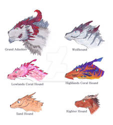 Coral Hound breeds (info in description)