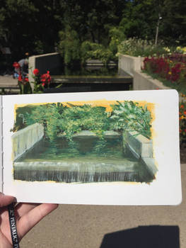 Field Sketch at Denver Botanic Gardens