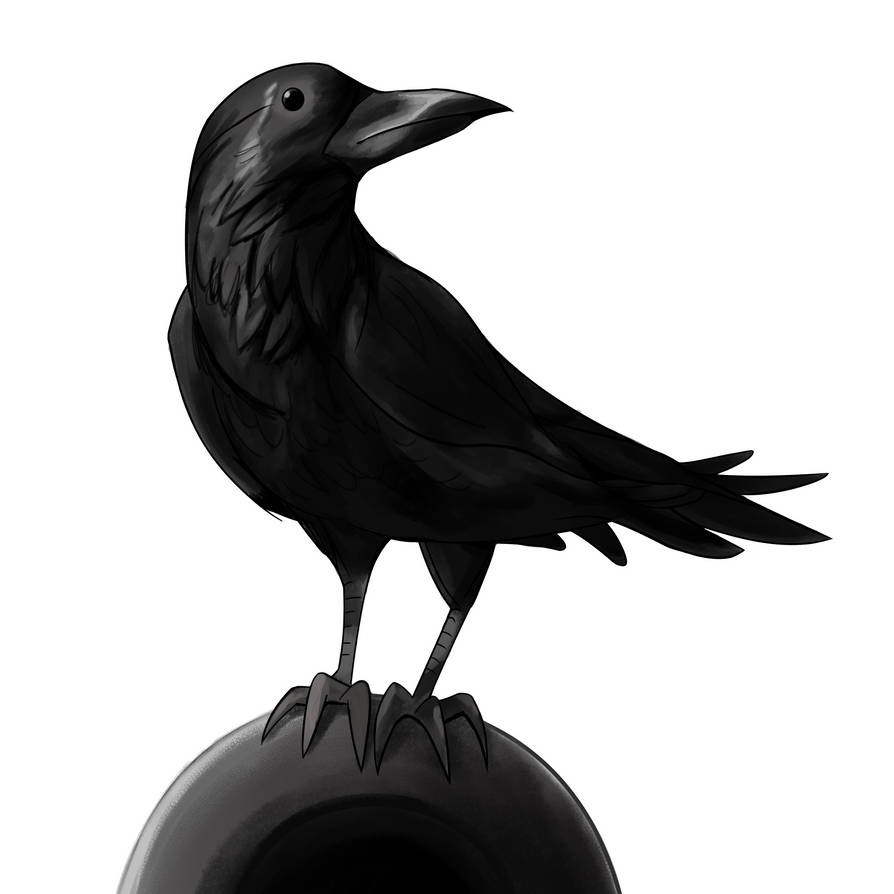 Raven challenge on Deviant art by ivanprime93 on DeviantArt