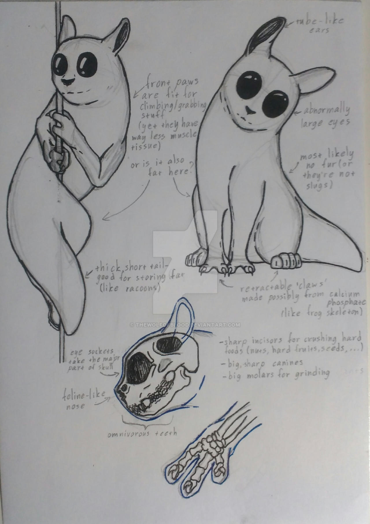 Rain World - Slugcat study (sort of) by thewolfofblood on DeviantArt