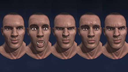 Face Blended Normal Maps