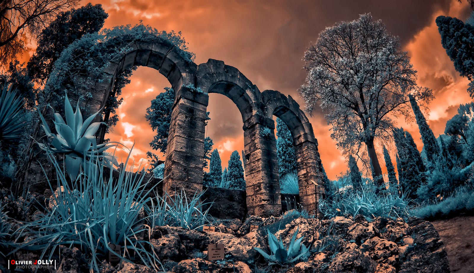 Deviled Arch The Arch by bamboomix on DeviantArt