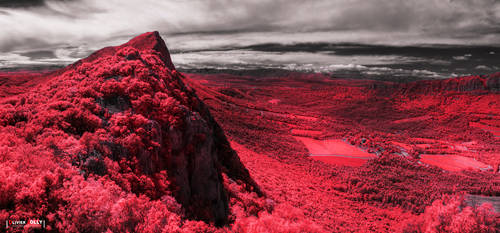 Pic Saint-Loup