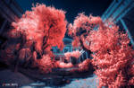 Botanical Institute by bamboomix