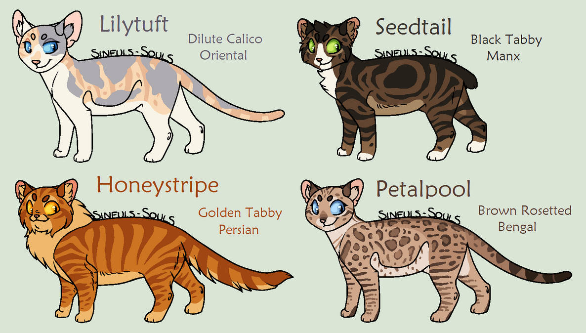 New Warrior Cat Adoptables CLOSED By Acornheart465 On DeviantArt new-warrior-cat-adoptables-closed-by-acornheart465-on-deviantart