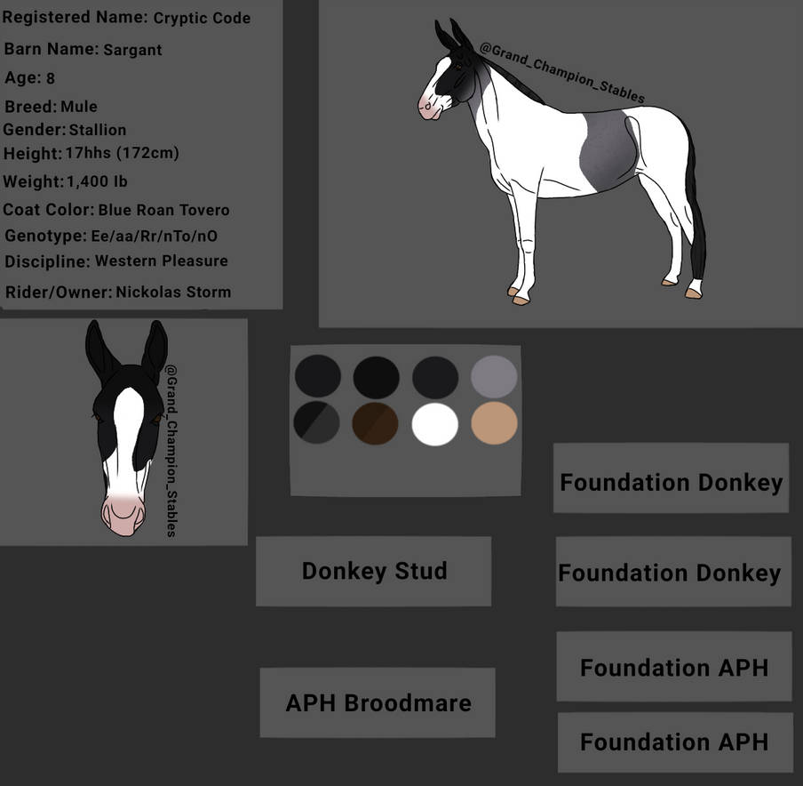 Cryptic Code 'Sargant' by GrandChampionStables on DeviantArt