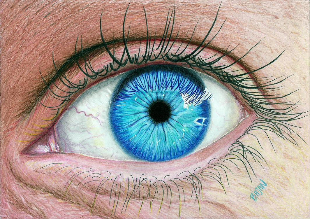 Глаз т в. Глаза рисунок. Реалистичный глаз. Глаз человека. Глаз рисунок цветной.