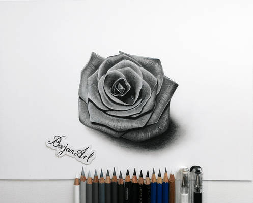 Black rose drawing