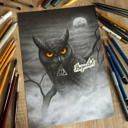Owl from Hogwart - Harry Potter