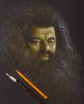 Rubeus Hagrid Drawing