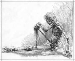 Skeleton Study Final