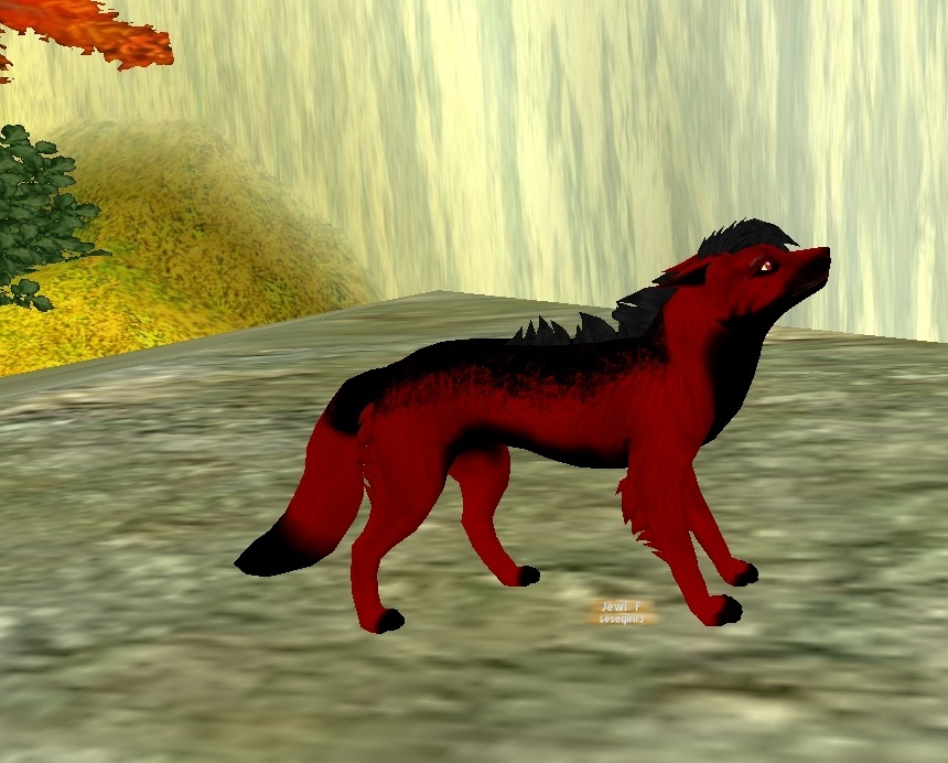 My Wolf For Blood Wolves Application