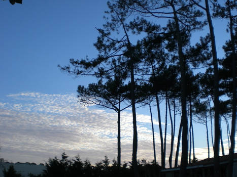 A beautiful morning in France