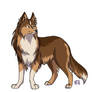 Shetland sheepdog