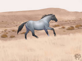 Prairie Runner