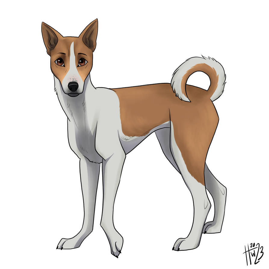 Doggust Day 1 - Aspin Dog by HannahBlossom on DeviantArt