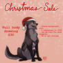 Christmas Sale! DECEMBER ONLY