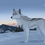 Flake at Sunrise