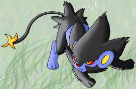 luxray my first drawing