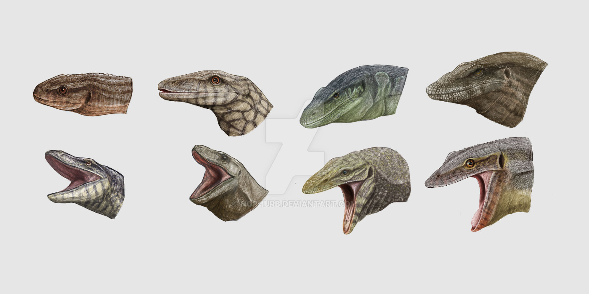 Monitor Lizard Digram Monitor Lizards by NgPhuRB on DeviantArt