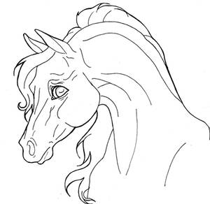 Arabian horse lineart