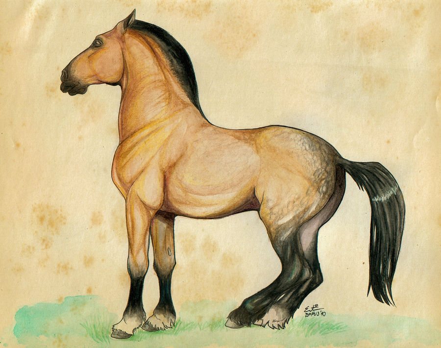 Horse by green-ermine