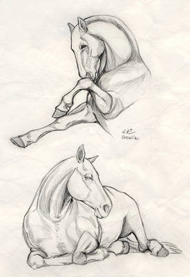 Horses