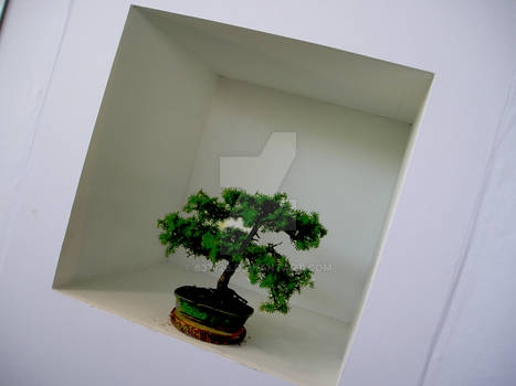 Bonsai