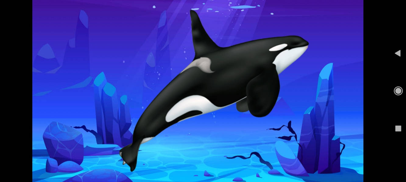 Willy the orca by Y0467 on DeviantArt