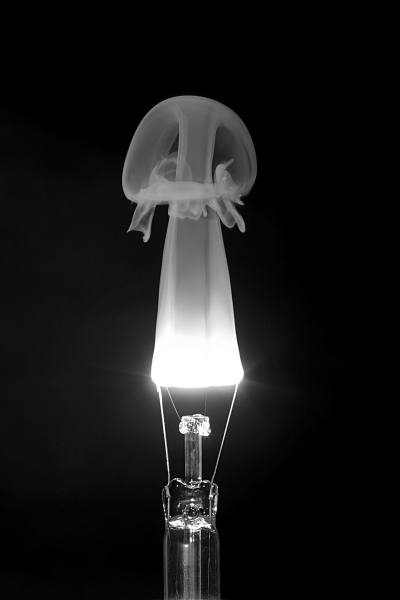 the end of a bulb