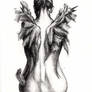 Broken Wings