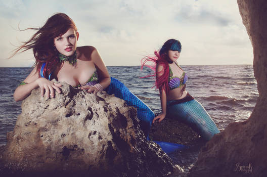 The Mermaids