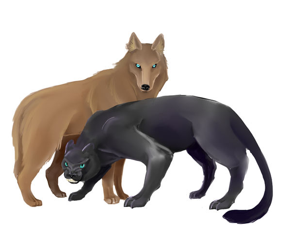 Panther and Wolf by Aelurus-Lupus on DeviantArt