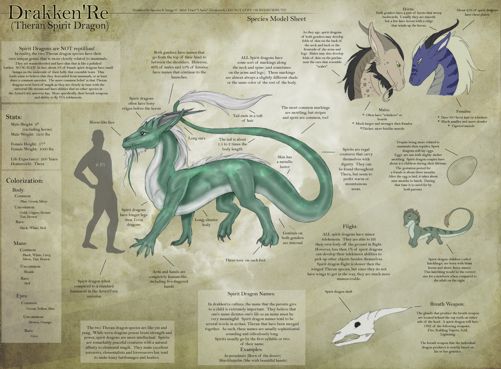 Spirit Dragon - Species Sheet