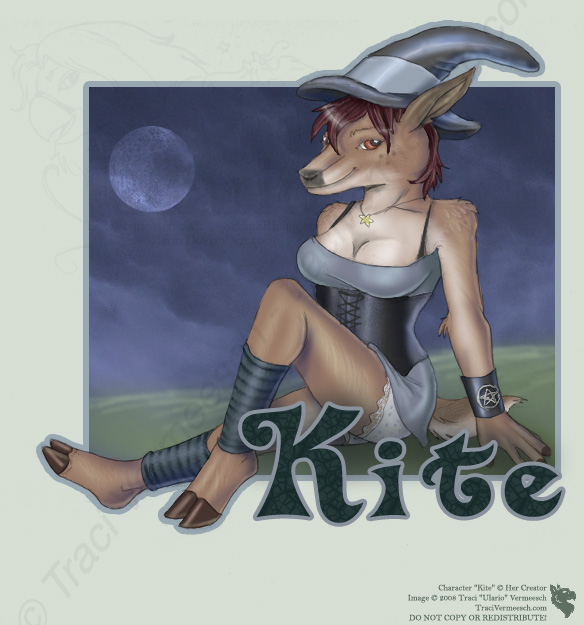 Kite - FB Badge