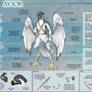 Avior - Character Sheet Commission