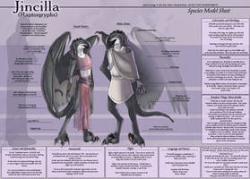 Jincilla - Species Model Sheet