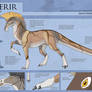 Acerir - Species Model Sheet