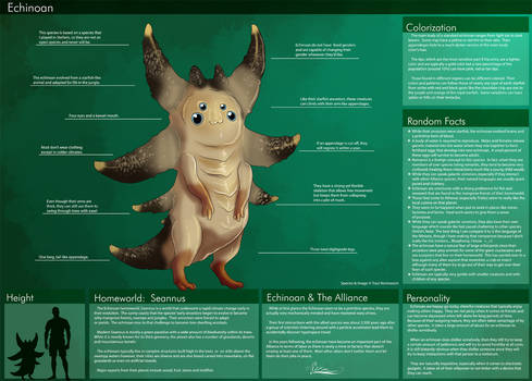 [Personal] Echinoan - Species Sheet