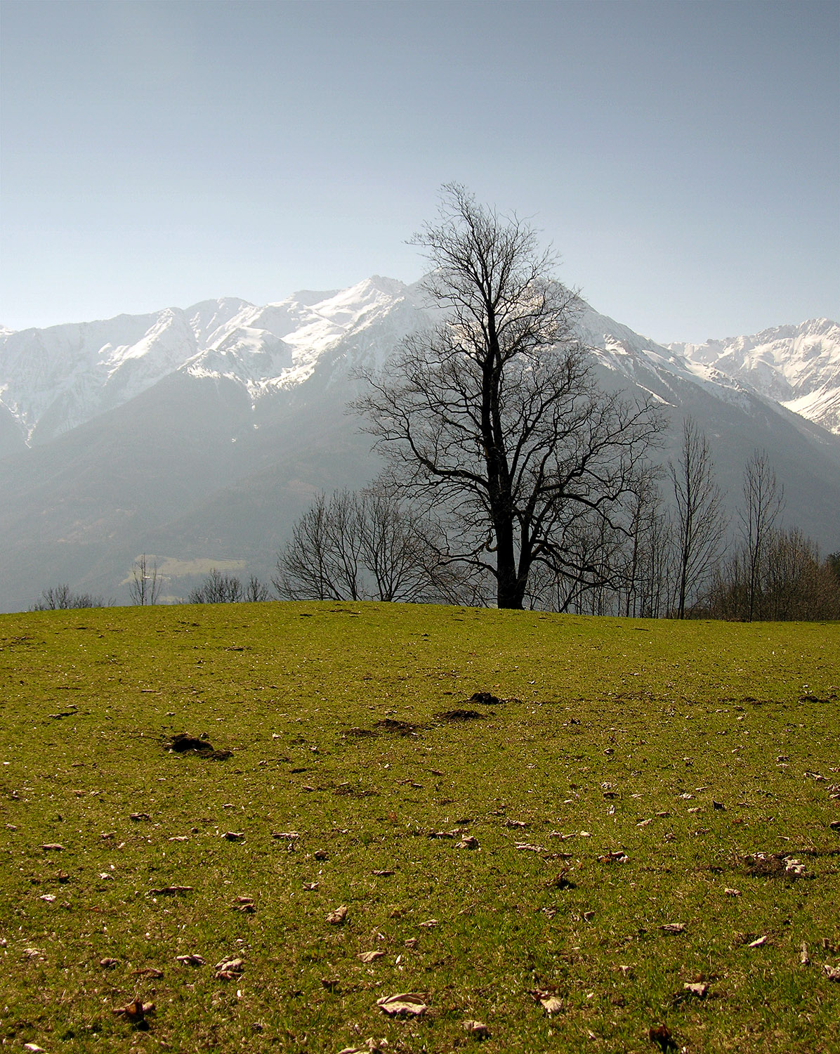 barns-en alps