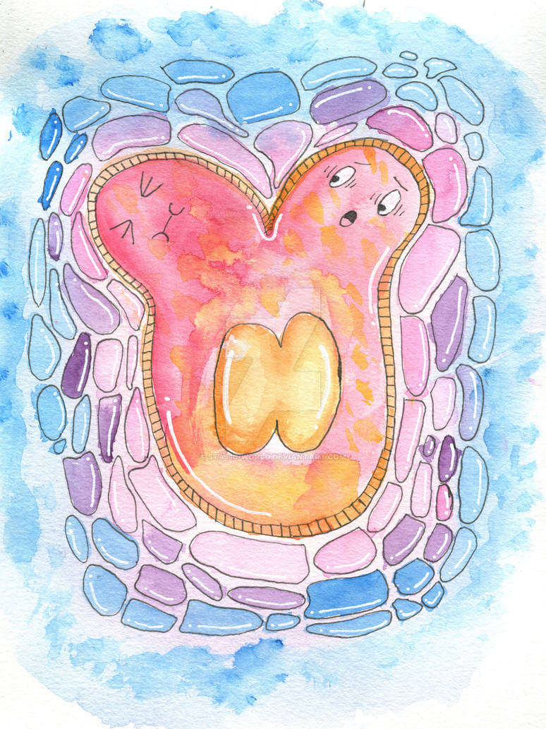 Cutge Cell Drawing Cute Cells by Static-World on DeviantArt