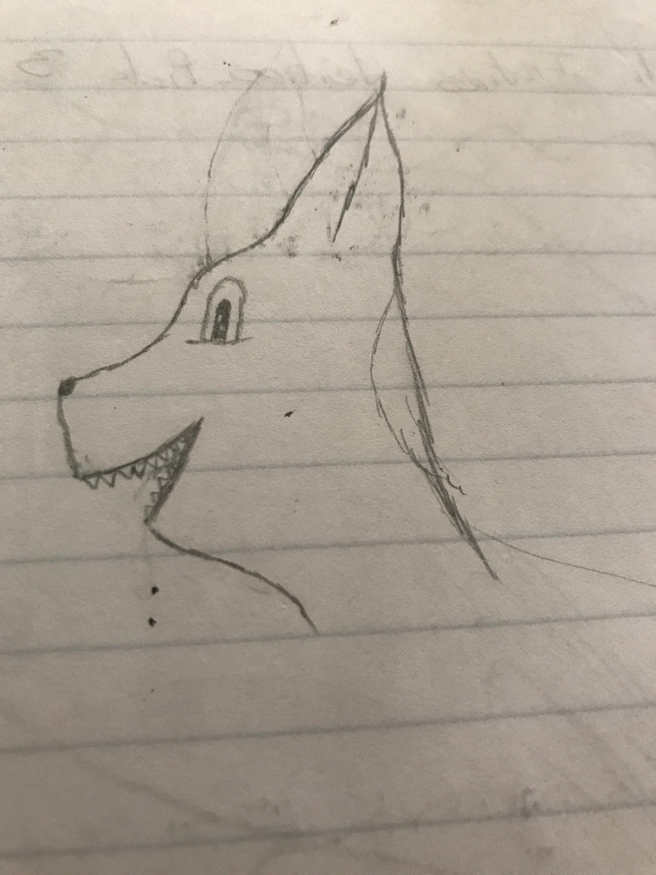 Random school drawing by Feircewolf1234 on DeviantArt