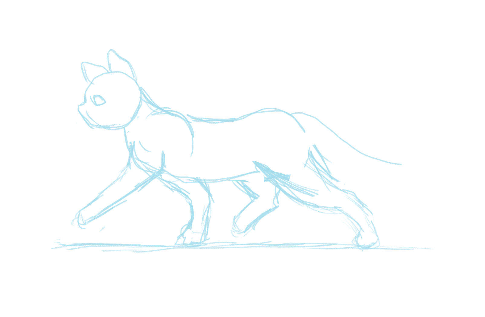 Cat Walk Cycle by ccscribbles on DeviantArt